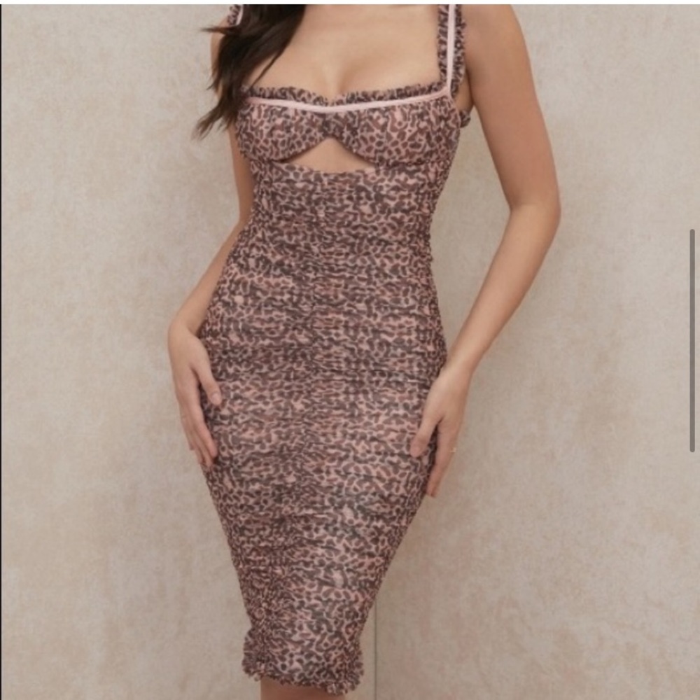 NWT House of CB Audra Animal Print Mesh Bustier Bodycon